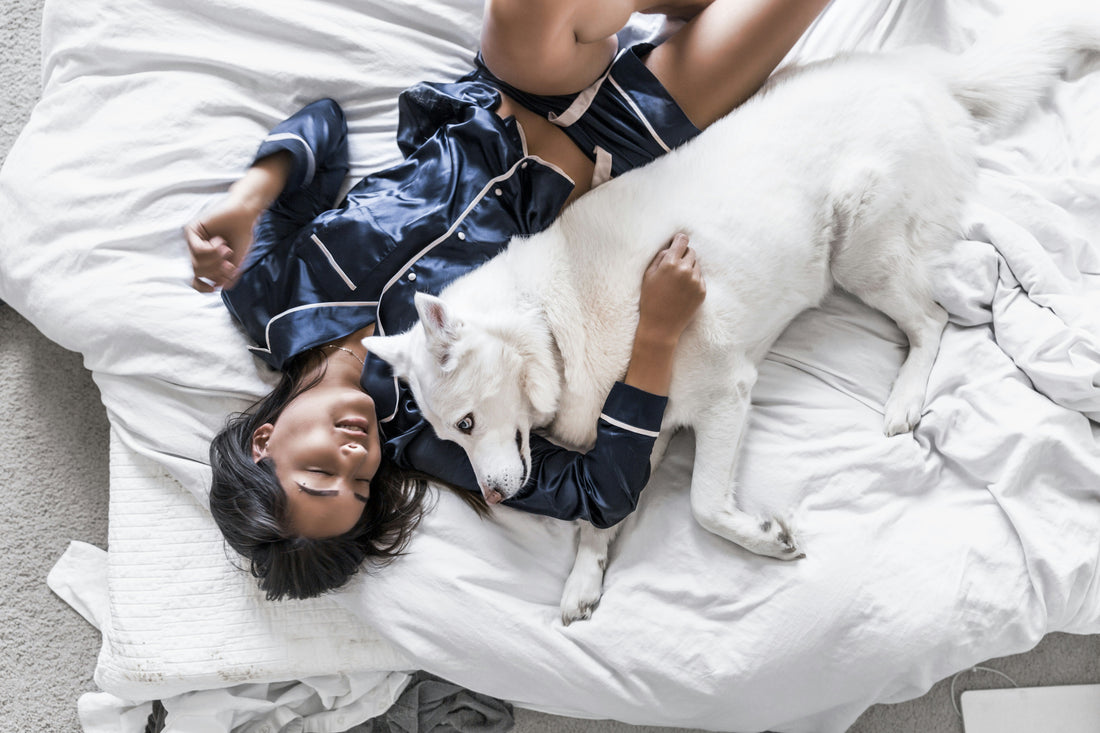 From Dreamers to Masters of Rest: The Snoozyn Story