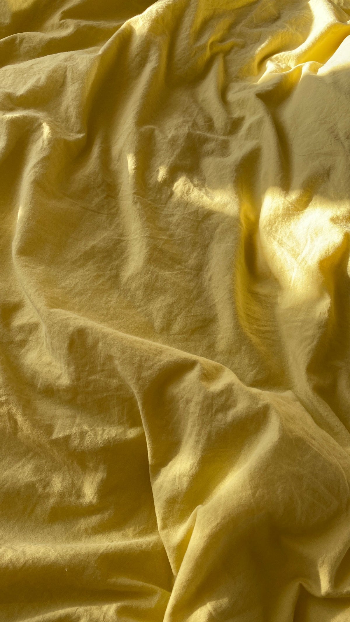 Sunlight on a creased mustard yellow sheet