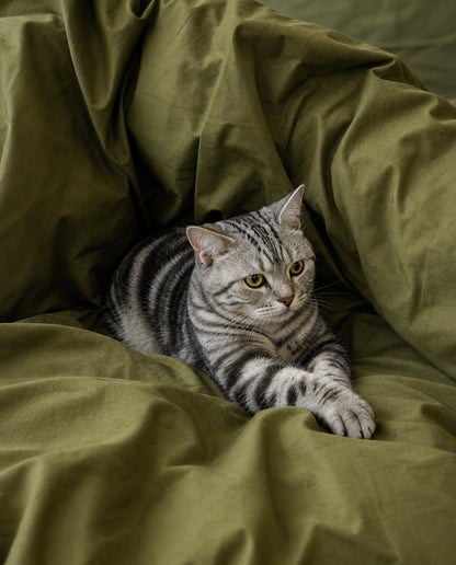 Bedding Set - Silky Cotton